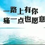 爱你的帅也歌