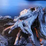 让爱再继续…