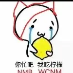 东哥情为何物