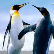 ╰ぺ✿风吹静湖