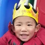 ⚡神犬小七️☀