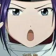 壹隻蠢狼