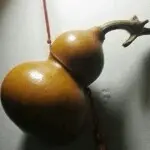 ╰✿緣缘缘♣╮