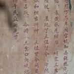 青竹0w