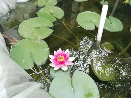 6699921的主播照片