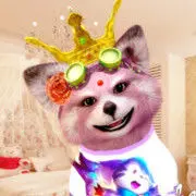 🐼笨笨熊💕梦奇