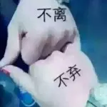 浪子【青春】