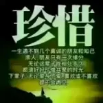萌小猫💖情💘缘❤