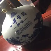 风流人物还看今朝11