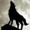🐺（狼）🐺