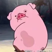 晚儿啊🌸食堂大菜猪