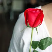 ^-^&amp;