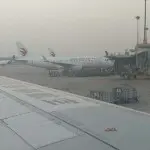 禅心悟世