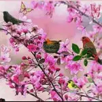 ❤つ永谊开心❤つ