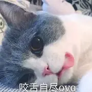 蹭歌的不用欢迎