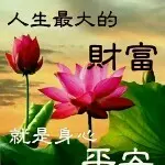 じ愛→随~风の