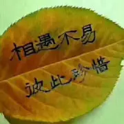 谢小松8chnqr