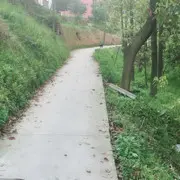 顺其自然吧~~