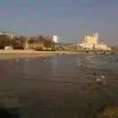 阳光春天，