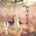 逆流而上nq