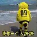 静静的看看静静