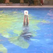 ╰✿小夕乐乐