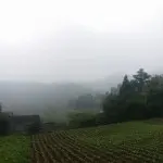 专业、、、、、、、、
