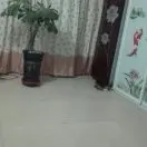 随缘udb