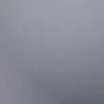 钱多多反多多