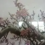 一生有你qzn