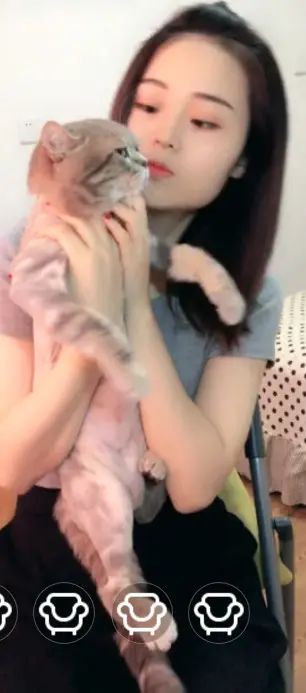 高級親蜜的图片