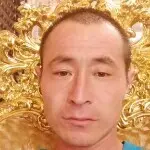 糖丸家松树林