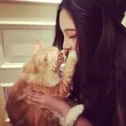 奈蜜爱游戏
