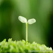 热浪滚滚