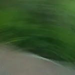：珍惜ZEX