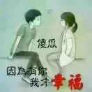草原狼89y