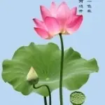 ♡☞夏季之风☜♡