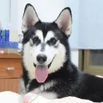 我叫小滑🍺
