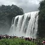 金海岸：
