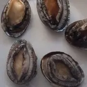 A.C.明哥哥