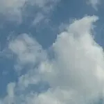 无才艺无颜值没啥意思