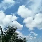 感动不了你！！