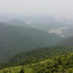 做好自己，有空在看