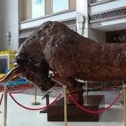 (刘德)