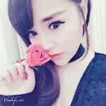 停播.