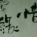 杰子墨