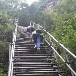 悬崖村。。曲依