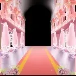 桃花诺🌸