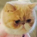 以后余生ぃ各自安好