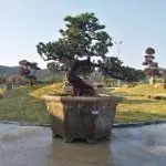 3G火车头
